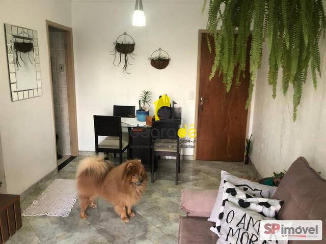 #1098 - Apartamento para Venda em São Paulo - SP - 2