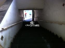 Galpão para Venda em São Paulo - 5