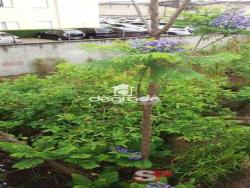 Terreno para Venda em São Paulo - 5
