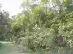 Área para Venda em Rio Grande da Serra - 5